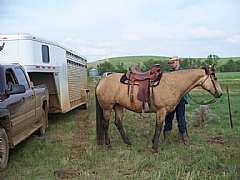 Saddle up---go to work