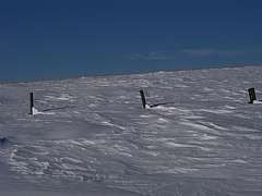 Winter '08-'09-One of many buried and broken fences