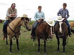Don't the horses just look thrilled that they are wearing hats?