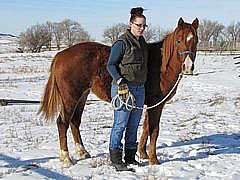 Paddys Gin Mara JW<br>AQHA 5411536