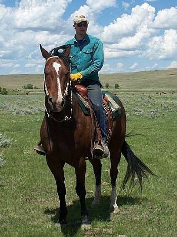 Old Skip Cat JB aka Ranger<br>APHA 650354