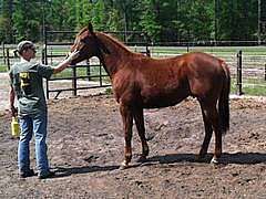 Pictured as a 2 Year Old in North Carolina