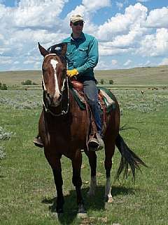 Old Skip Cat JB aka Ranger<br>APHA 650354